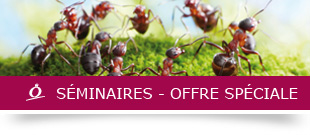 push seminaire 0513