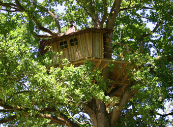 cabanes dans les arbres
