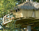 panoramique