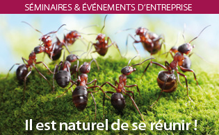 offre seminaire 0513