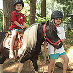 Balade à cheval ou poney