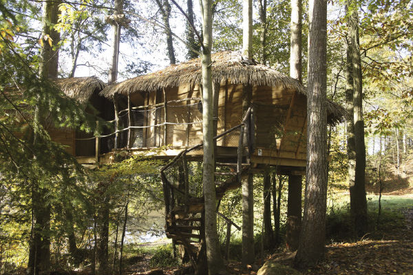 Cabane dans les arbres en famille - Hébergement insolite en Bretagne