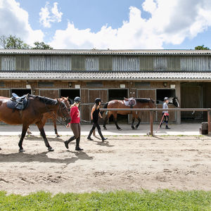 equitation seminaire