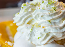 Pavlova de la Brasserie 1977