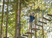 adventure course in trees