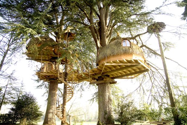 cabane arbre bretagne