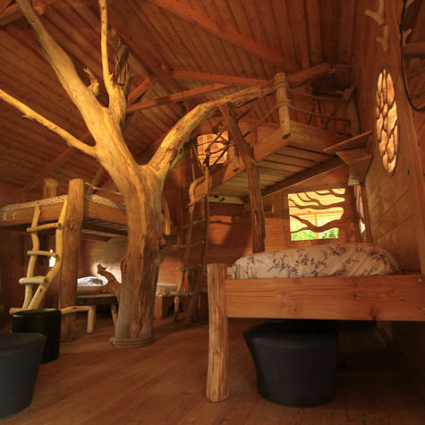 26 idées de Construction cabanne  cabane bois, cabane dans les arbres,  maison dans les arbres
