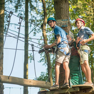 adventure course in trees