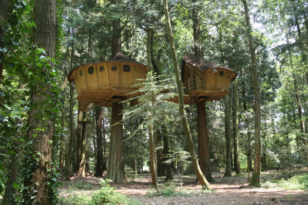 Cabane dans les arbres en famille - Hébergement insolite en Bretagne