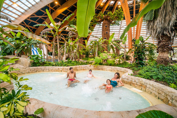 dome tropical