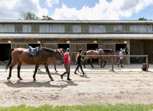 bon cadeau centre équestre des ormes noël