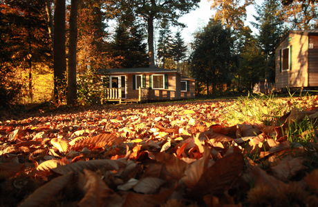 automne