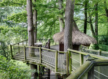 cabane dans les arbres les ormes