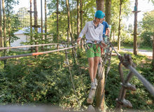 adventure course in trees