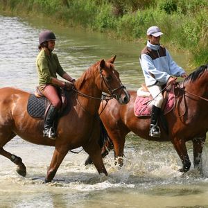 equitation seminaire