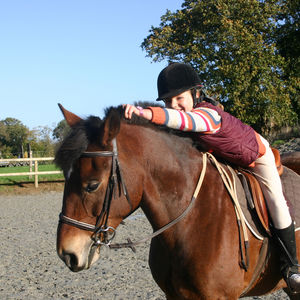 pension cheval dol de bretagne les ormes