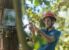 adventure course in trees