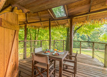 Cabane arbres 2025 verrière