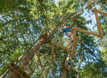 adventure course in trees