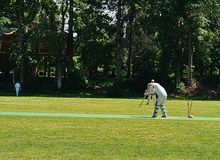 Cricket 5