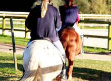 equitation